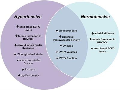 The Immediate and Long-Term Impact of Preeclampsia on Offspring Vascular and Cardiac Physiology in the Preterm Infant